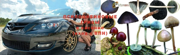PSILOCYBIN Алексин
