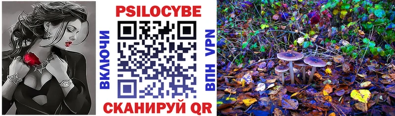 Галлюциногенные грибы Psilocybine cubensis  Алексин 